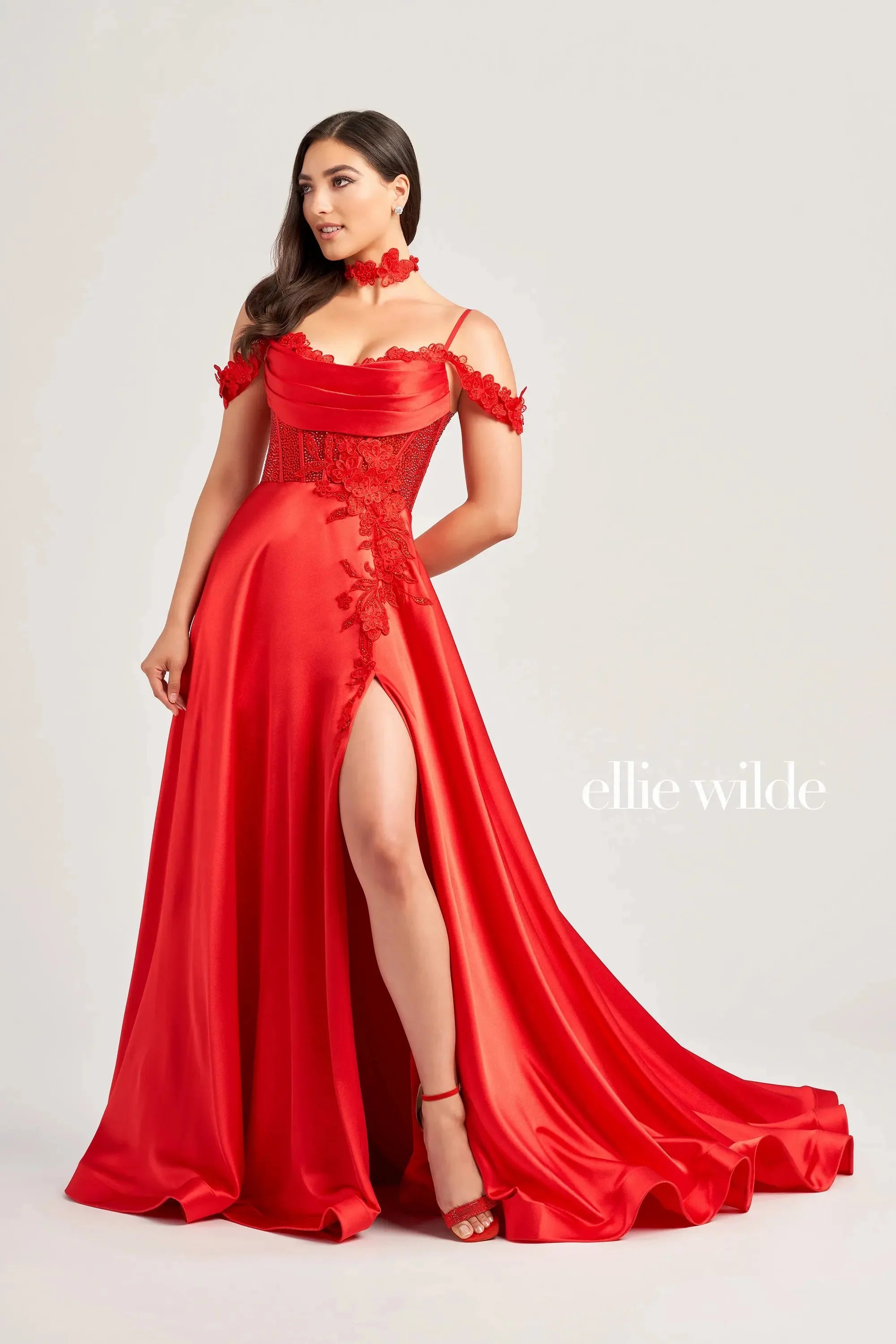 Chic Women's Clothing Online Ellie Wilde EW35029 - Lace Applique A-Line Gown